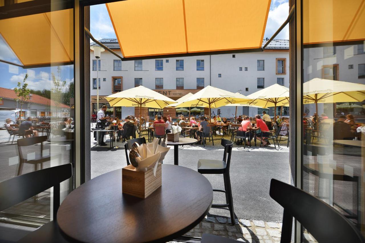 Hotel Element Lipno nad Vltavou Ngoại thất bức ảnh